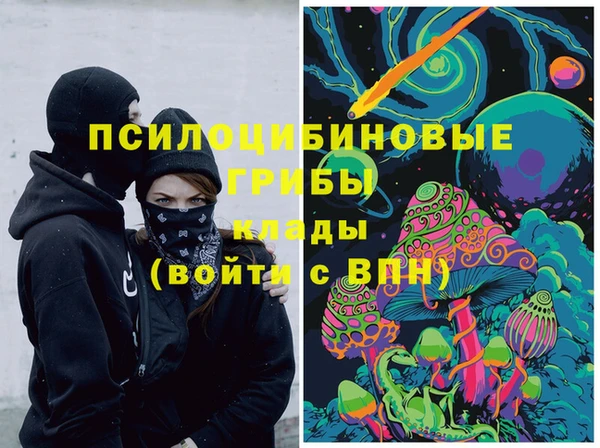 гидра Лабытнанги